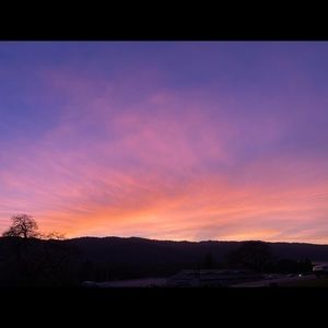 Meet your Posher, Genevieve